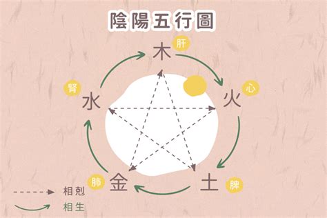 寵物五行|寵物5行「 木火土金水」對應個性體質 快來看看你家毛。